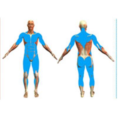 Musculation remodelage corporel body coach amincissement 1 mois