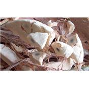 Baomix adansonia digitata : pulpe et fibres du boabab