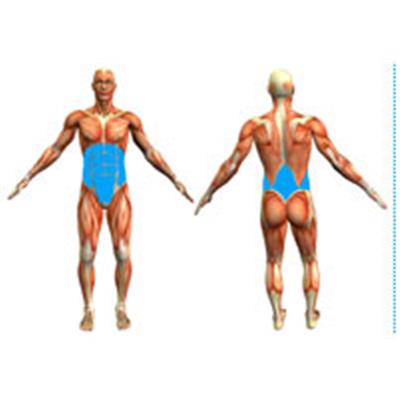 Musculation remodelage coach abdos ventre plat la séance
