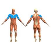 Musculation remodelage coach pectoraux biceps épaules