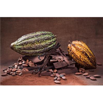 Nutrilife Chocolat Noir à l'Acticoa